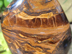 Polished Golden Tigers Eye Standing Free Forms x 2 From Prieska, South Africa - Toprock Gemstones and Minerals 