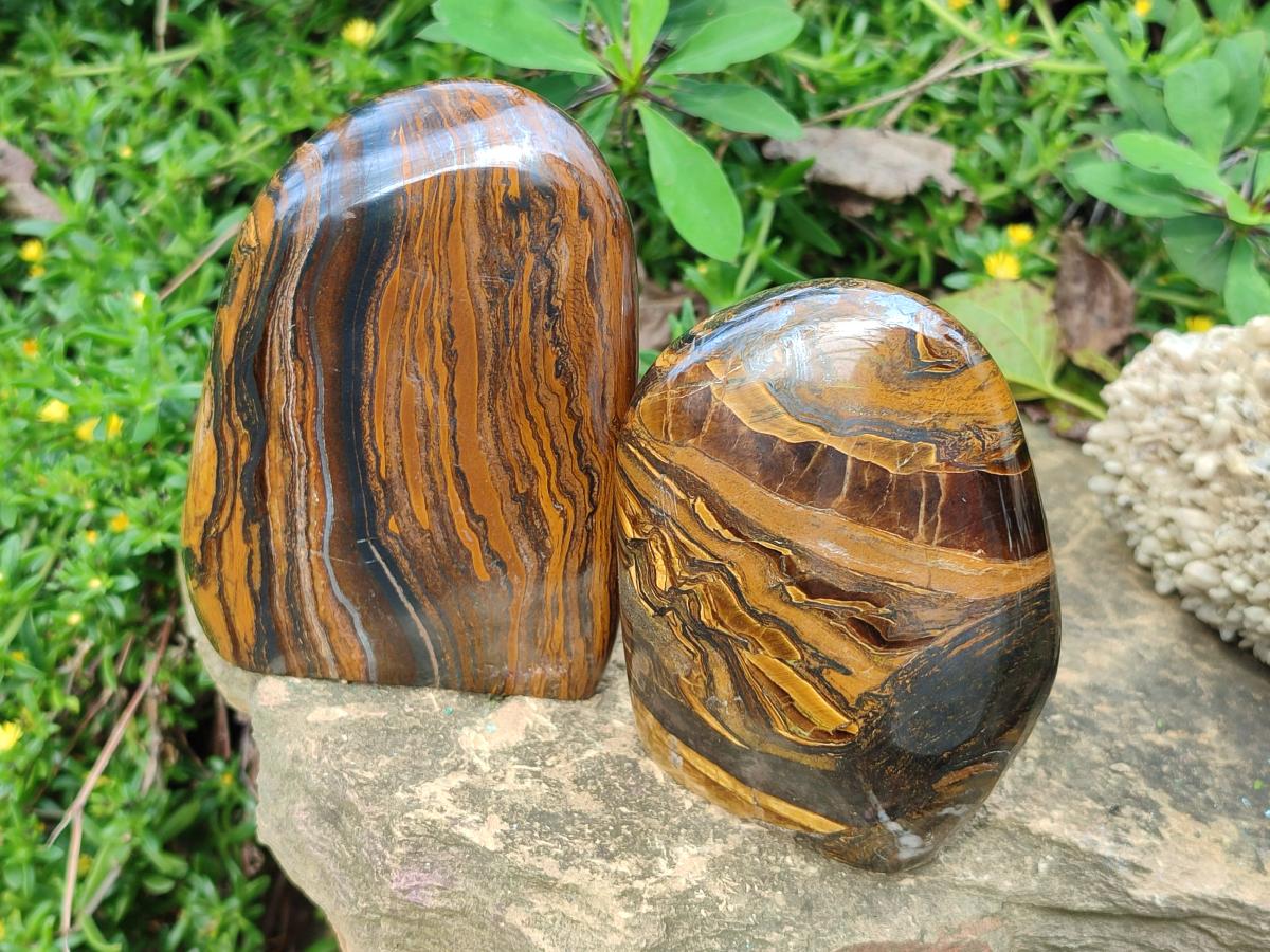 Polished Golden Tigers Eye Standing Free Forms x 2 From Prieska, South Africa - Toprock Gemstones and Minerals 