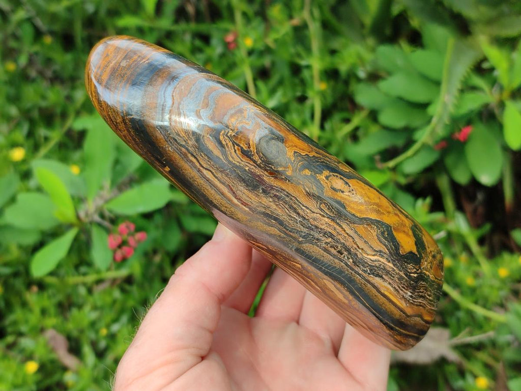 Polished Golden Tigers Eye Standing Free Forms x 2 From Prieska, South Africa - Toprock Gemstones and Minerals 