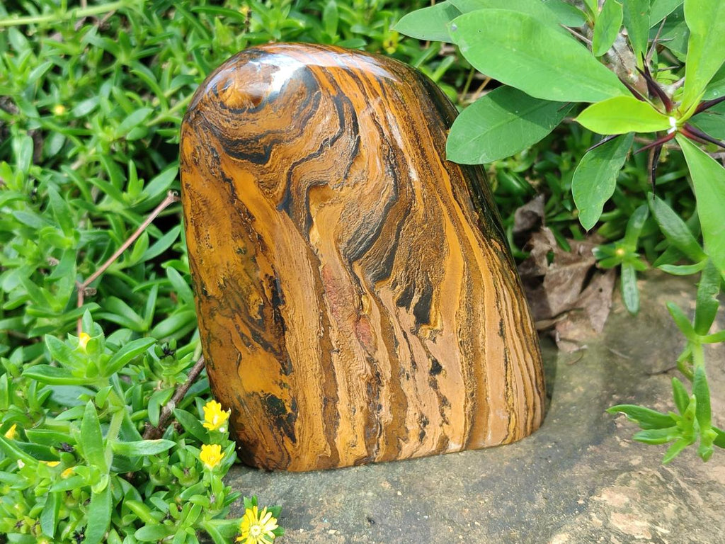 Polished Golden Tigers Eye Standing Free Forms x 2 From Prieska, South Africa - Toprock Gemstones and Minerals 