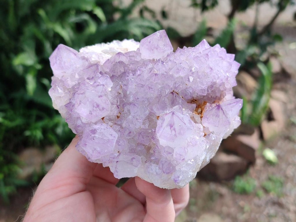 Natural Sunburst Spirit Amethyst Clusters x 5 From Boekenhouthoek, South Africa - Toprock Gemstones and Minerals 