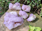 Natural Sunburst Spirit Amethyst Clusters x 5 From Boekenhouthoek, South Africa - Toprock Gemstones and Minerals 