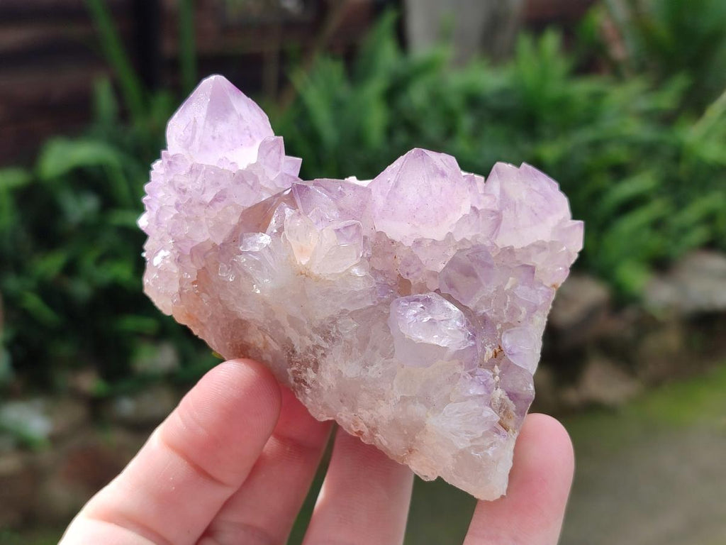 Natural Sunburst Spirit Amethyst Clusters x 5 From Boekenhouthoek, South Africa - Toprock Gemstones and Minerals 