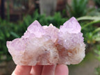 Natural Sunburst Spirit Amethyst Clusters x 5 From Boekenhouthoek, South Africa - Toprock Gemstones and Minerals 