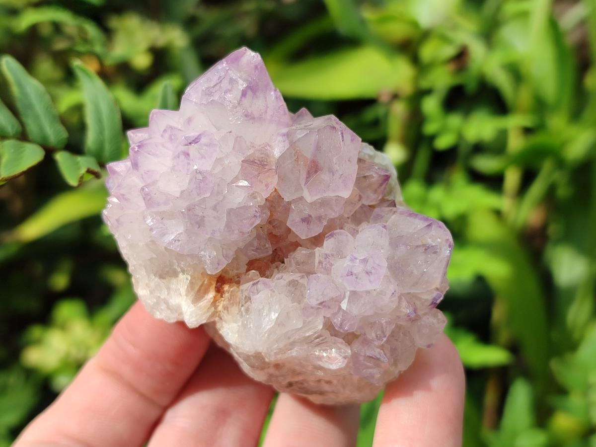 Natural Sunburst Spirit Amethyst Clusters x 5 From Boekenhouthoek, South Africa - Toprock Gemstones and Minerals 