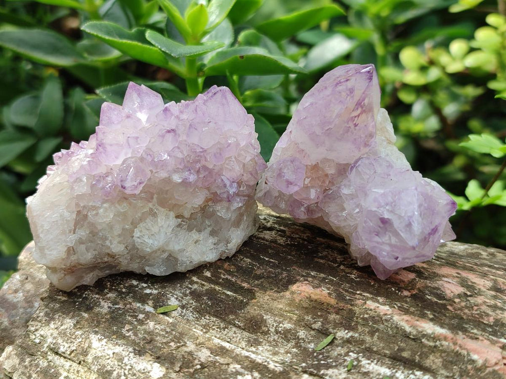 Natural Sunburst Spirit Amethyst Clusters x 5 From Boekenhouthoek, South Africa - Toprock Gemstones and Minerals 