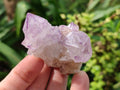 Natural Sunburst Spirit Amethyst Clusters x 5 From Boekenhouthoek, South Africa - Toprock Gemstones and Minerals 