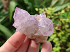 Natural Sunburst Spirit Amethyst Clusters x 5 From Boekenhouthoek, South Africa - Toprock Gemstones and Minerals 