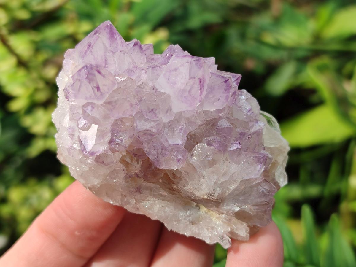 Natural Sunburst Spirit Amethyst Clusters x 5 From Boekenhouthoek, South Africa - Toprock Gemstones and Minerals 