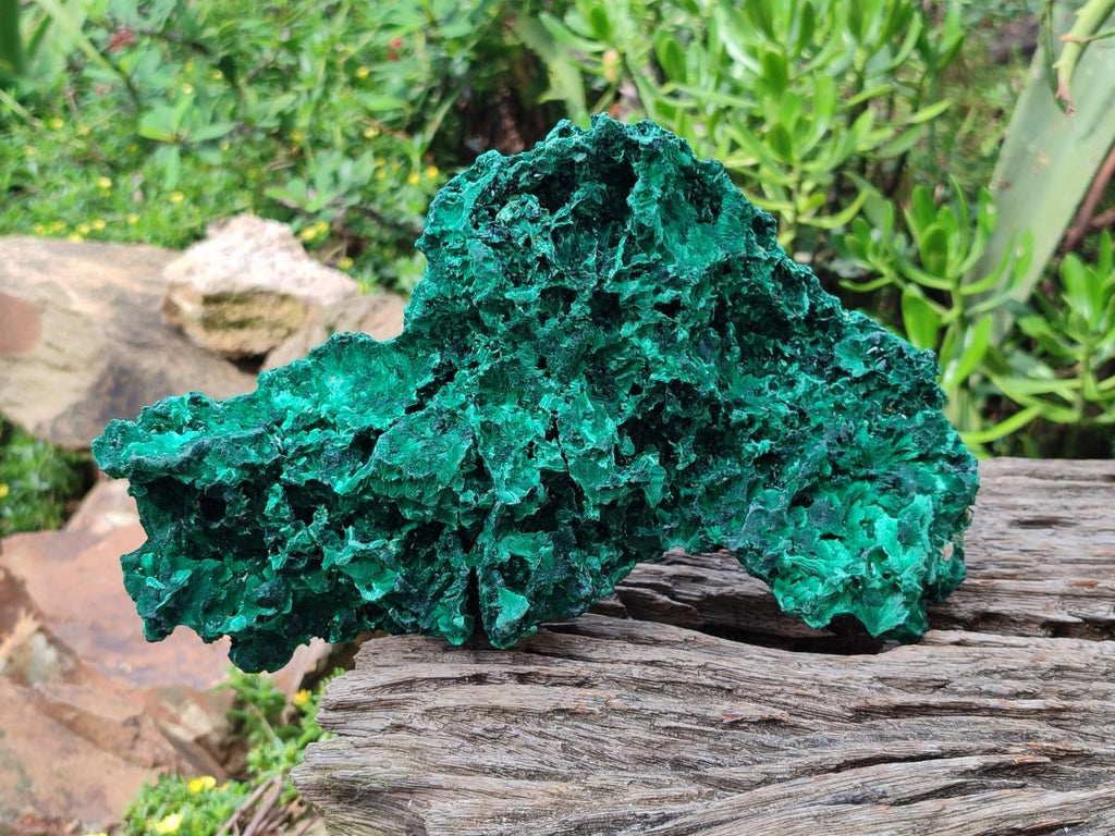 Natural Large Cabinet Silky Malachite Specimen x 1 From Kasompe, Congo - Toprock Gemstones and Minerals 
