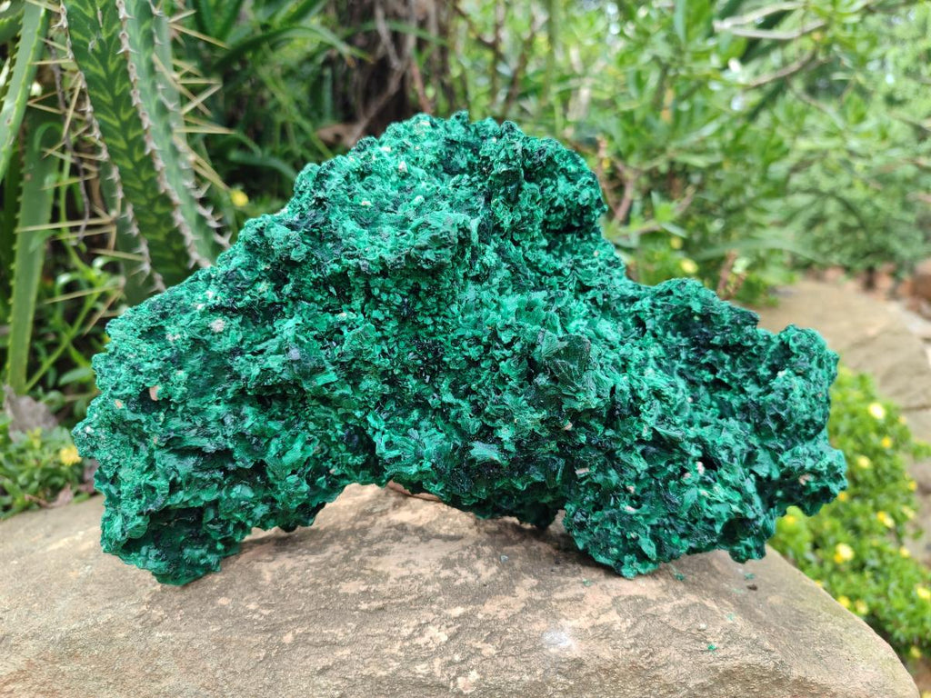 Natural Large Cabinet Silky Malachite Specimen x 1 From Kasompe, Congo - Toprock Gemstones and Minerals 