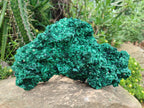 Natural Large Cabinet Silky Malachite Specimen x 1 From Kasompe, Congo - Toprock Gemstones and Minerals 
