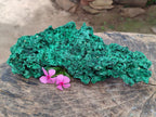 Natural Large Cabinet Silky Malachite Specimen x 1 From Kasompe, Congo - Toprock Gemstones and Minerals 