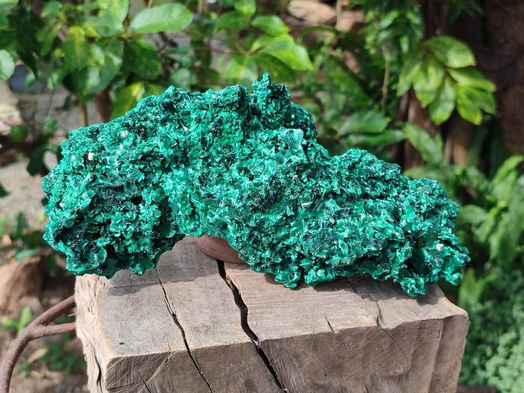 Natural Large Cabinet Silky Malachite Specimen x 1 From Kasompe, Congo - Toprock Gemstones and Minerals 