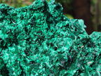 Natural Large Cabinet Silky Malachite Specimen x 1 From Kasompe, Congo - Toprock Gemstones and Minerals 