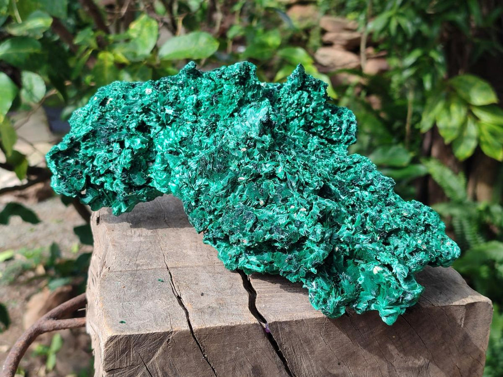 Natural Large Cabinet Silky Malachite Specimen x 1 From Kasompe, Congo - Toprock Gemstones and Minerals 