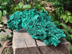 Natural Large Cabinet Silky Malachite Specimen x 1 From Kasompe, Congo - Toprock Gemstones and Minerals 