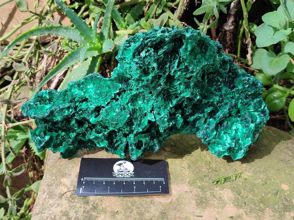 Natural Large Cabinet Silky Malachite Specimen x 1 From Kasompe, Congo - Toprock Gemstones and Minerals 