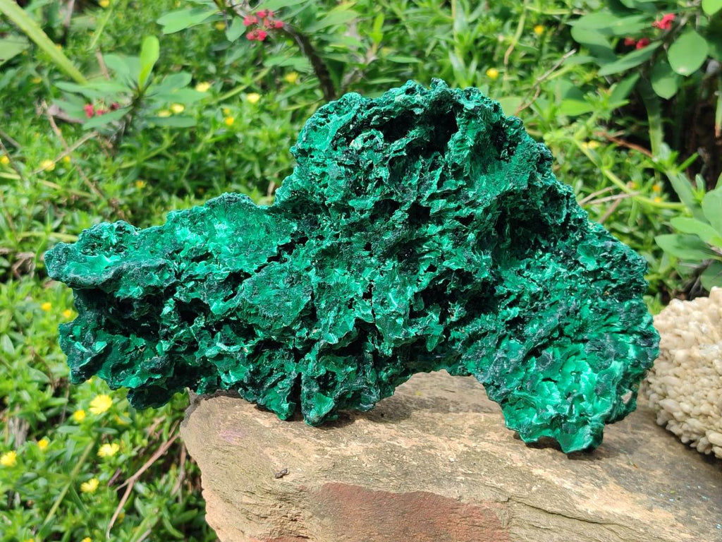 Natural Large Cabinet Silky Malachite Specimen x 1 From Kasompe, Congo - Toprock Gemstones and Minerals 