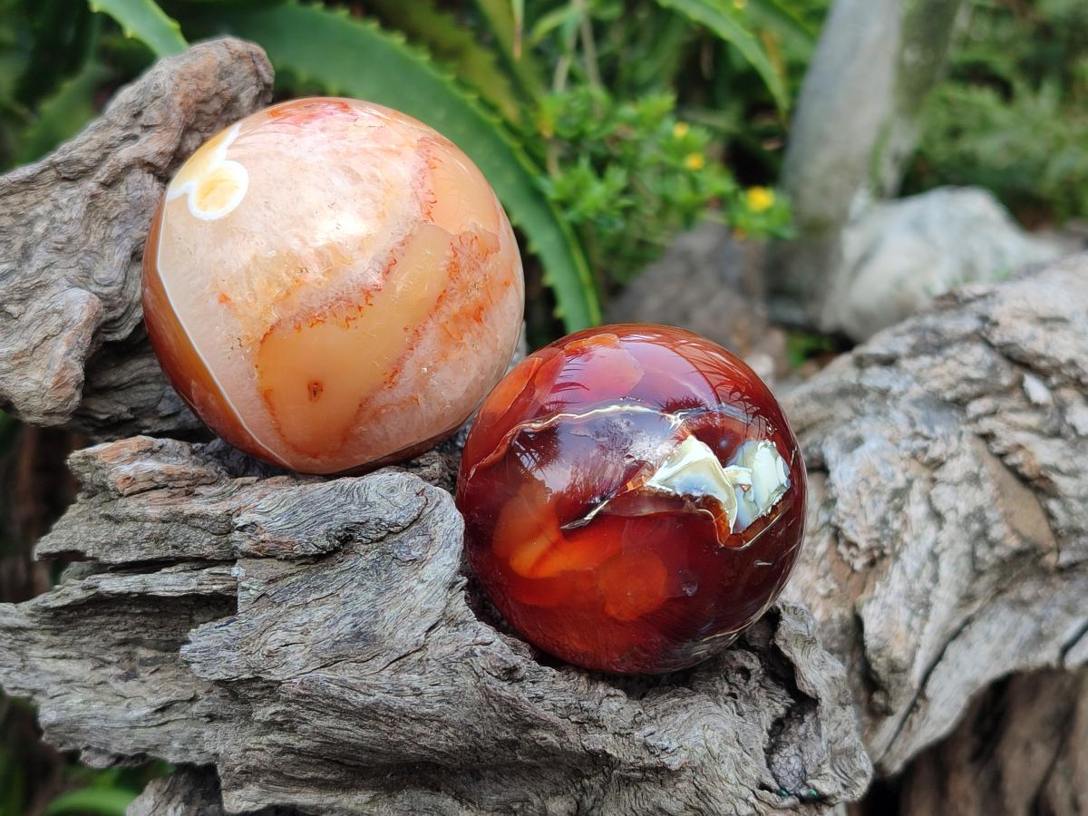 Polished Carnelian Agate Gemstone Spheres x 6 From Madagascar - Toprock Gemstones and Minerals 