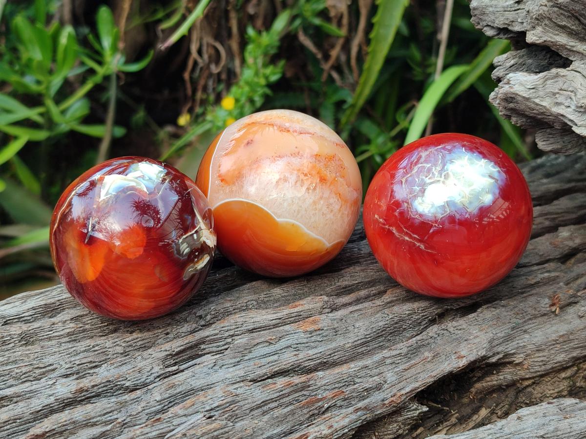 Polished Carnelian Agate Gemstone Spheres x 6 From Madagascar - Toprock Gemstones and Minerals 