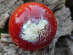 Polished Carnelian Agate Gemstone Spheres x 6 From Madagascar - Toprock Gemstones and Minerals 