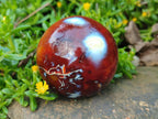 Polished Carnelian Agate Gemstone Spheres x 6 From Madagascar - Toprock Gemstones and Minerals 