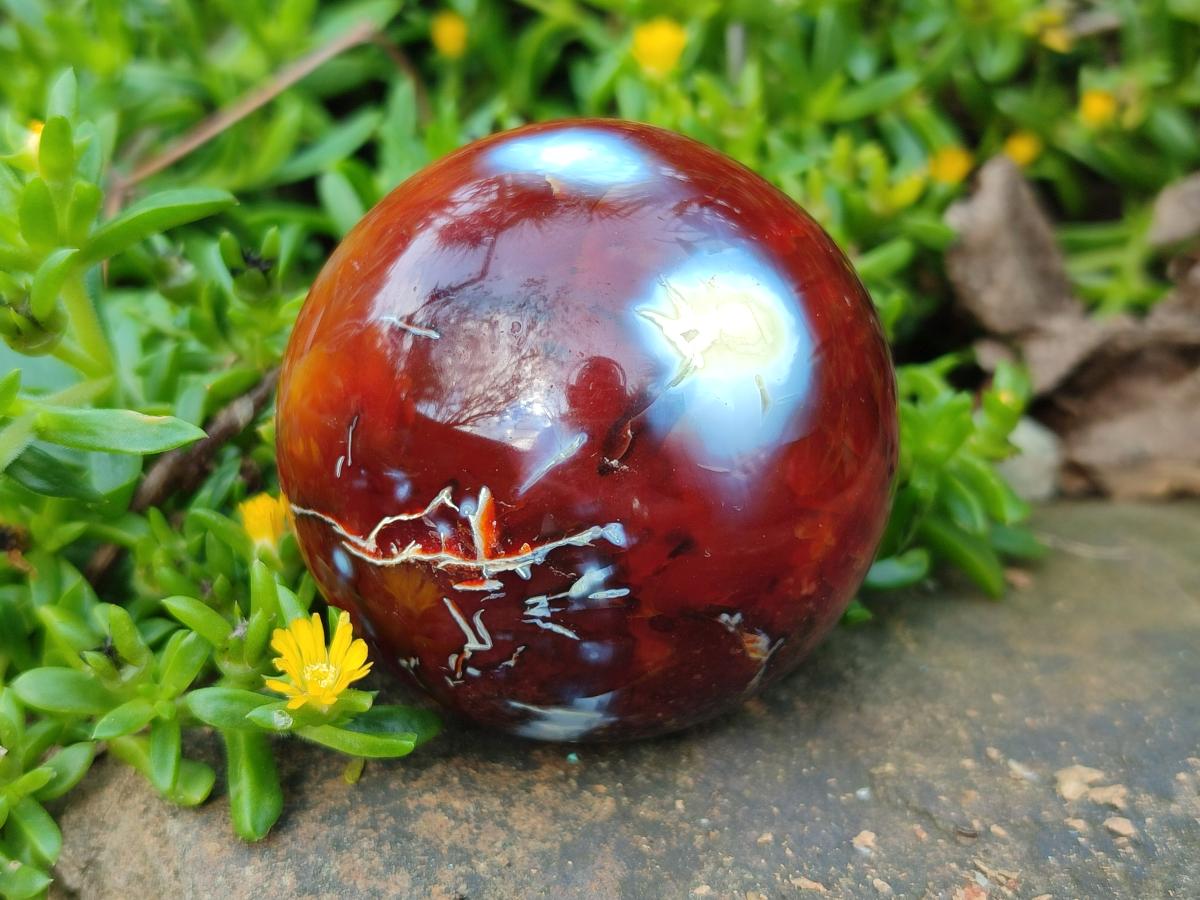 Polished Carnelian Agate Gemstone Spheres x 6 From Madagascar - Toprock Gemstones and Minerals 