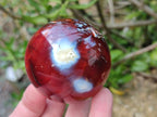 Polished Carnelian Agate Gemstone Spheres x 6 From Madagascar - Toprock Gemstones and Minerals 