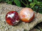 Polished Carnelian Agate Gemstone Spheres x 6 From Madagascar - Toprock Gemstones and Minerals 