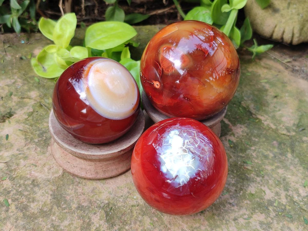 Polished Carnelian Agate Gemstone Spheres x 6 From Madagascar - Toprock Gemstones and Minerals 