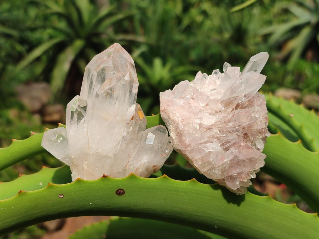 Natural Clear Quartz Clusters x 24 From Madagascar - Toprock Gemstones and Minerals 