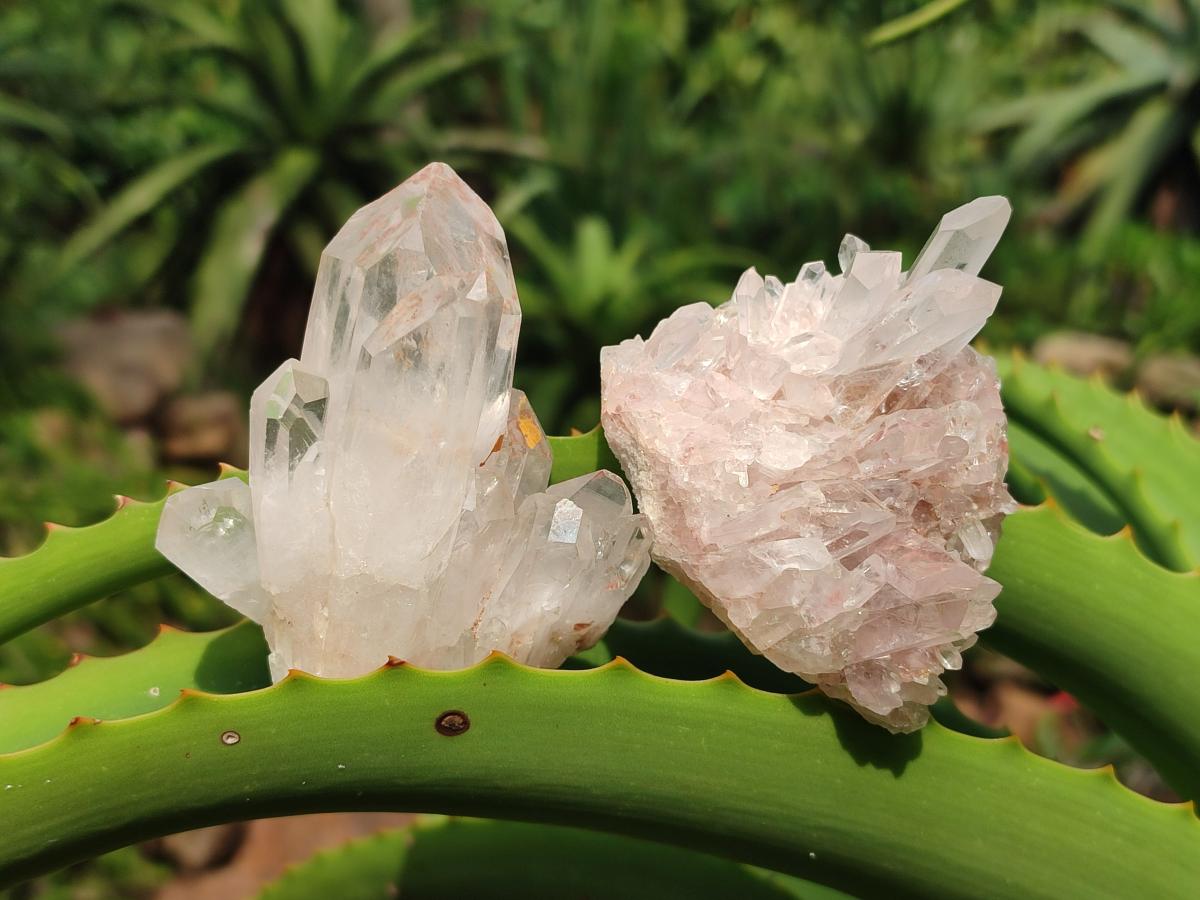 Natural Clear Quartz Clusters x 24 From Madagascar - Toprock Gemstones and Minerals 