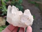 Natural Clear Quartz Clusters x 24 From Madagascar - Toprock Gemstones and Minerals 