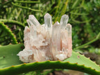 Natural Clear Quartz Clusters x 24 From Madagascar - Toprock Gemstones and Minerals 