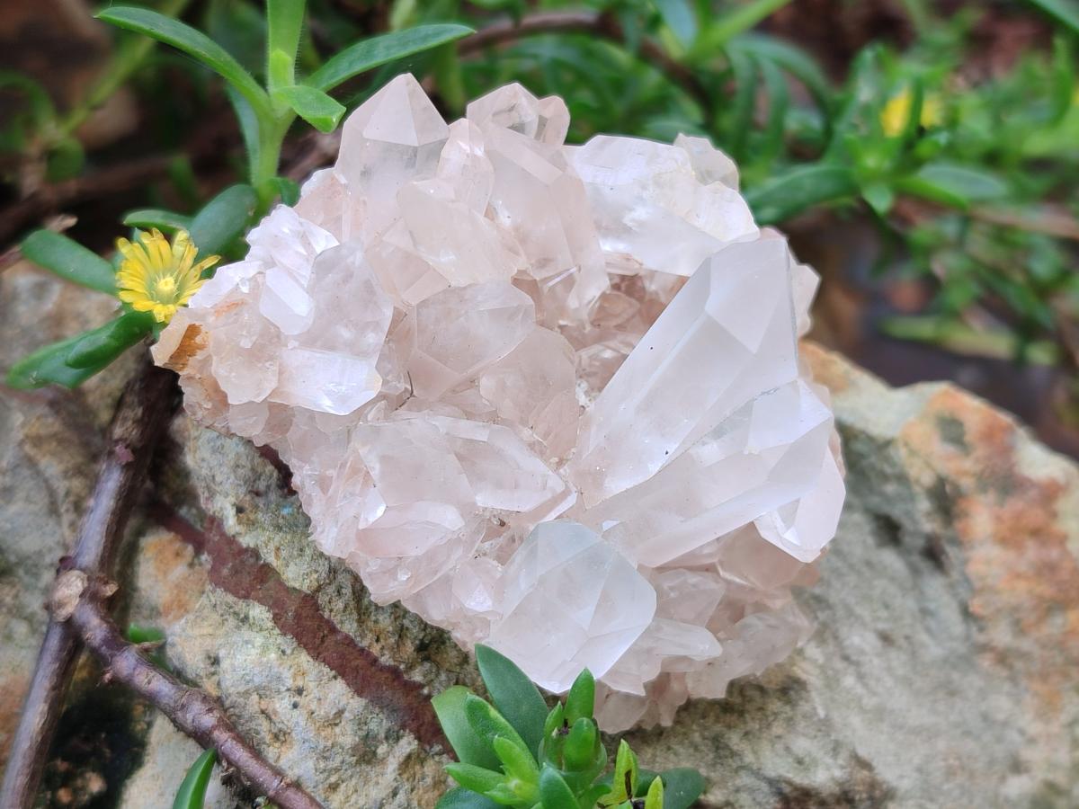 Natural Clear Quartz Clusters x 24 From Madagascar - Toprock Gemstones and Minerals 