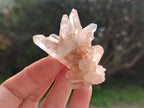 Natural Clear Quartz Clusters x 24 From Madagascar - Toprock Gemstones and Minerals 