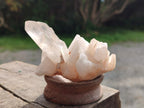 Natural Clear Quartz Clusters x 24 From Madagascar - Toprock Gemstones and Minerals 