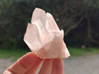 Natural Clear Quartz Clusters x 24 From Madagascar - Toprock Gemstones and Minerals 