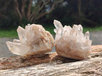 Natural Clear Quartz Clusters x 24 From Madagascar - Toprock Gemstones and Minerals 