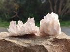 Natural Clear Quartz Clusters x 24 From Madagascar - Toprock Gemstones and Minerals 