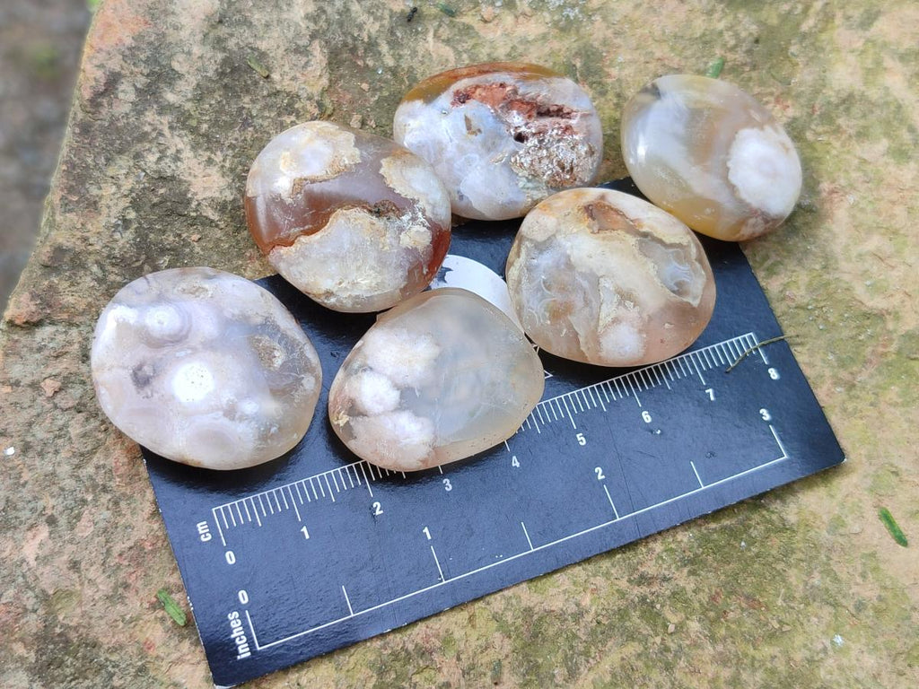 Polished Wire Wrap Size Flower Agate Free Forms x 140 From Antsahalova, Madagascar - Toprock Gemstones and Minerals 