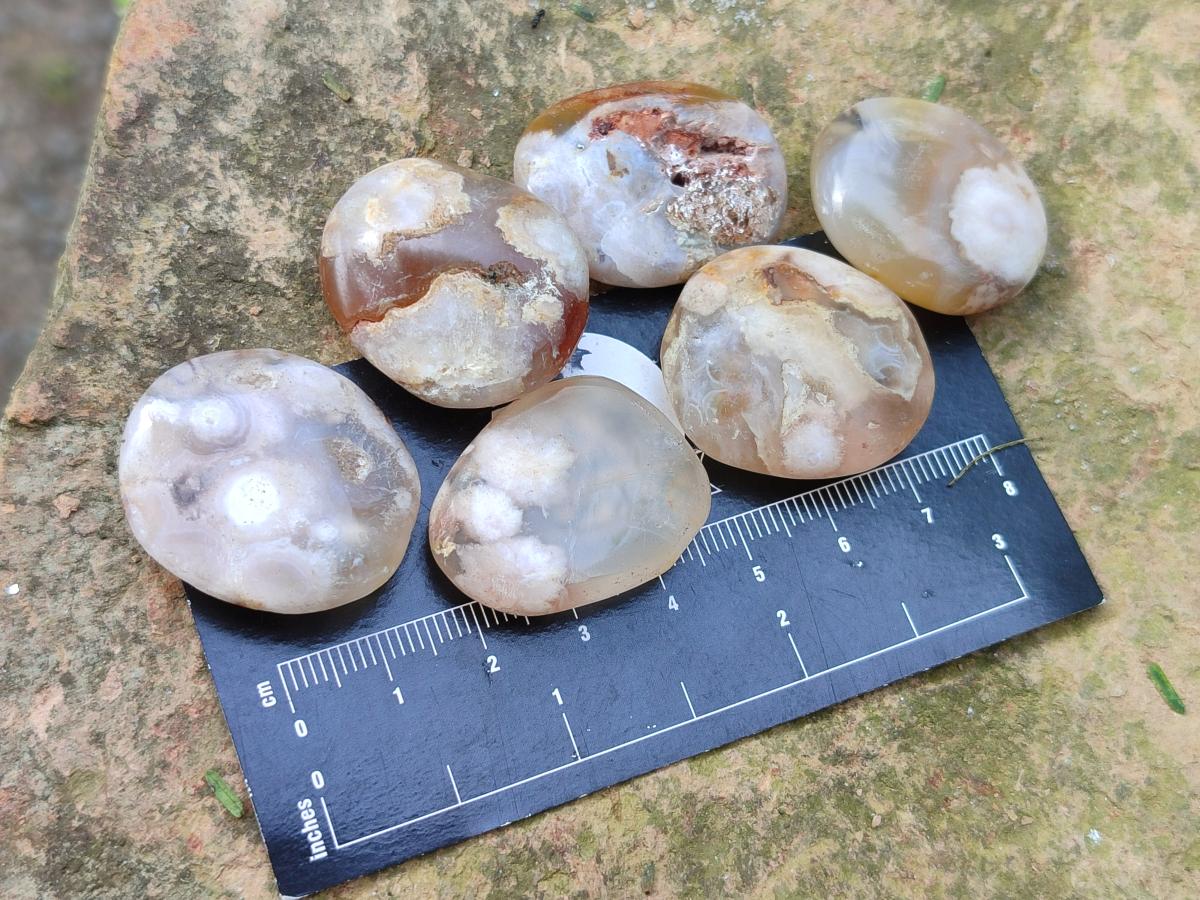 Polished Wire Wrap Size Flower Agate Free Forms x 140 From Antsahalova, Madagascar - Toprock Gemstones and Minerals 