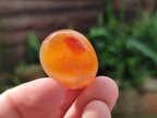 Polished Wire Wrap Size Flower Agate Free Forms x 140 From Antsahalova, Madagascar - Toprock Gemstones and Minerals 