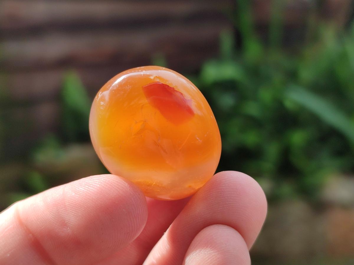 Polished Wire Wrap Size Flower Agate Free Forms x 140 From Antsahalova, Madagascar - Toprock Gemstones and Minerals 