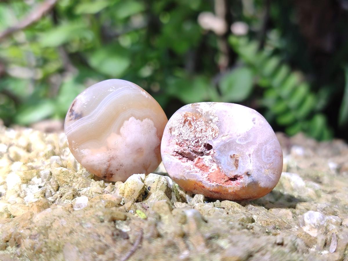 Polished Wire Wrap Size Flower Agate Free Forms x 140 From Antsahalova, Madagascar - Toprock Gemstones and Minerals 