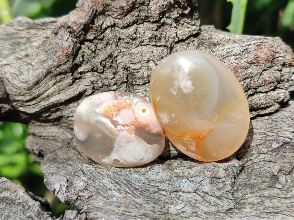 Polished Wire Wrap Size Flower Agate Free Forms x 140 From Antsahalova, Madagascar - Toprock Gemstones and Minerals 