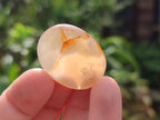 Polished Wire Wrap Size Flower Agate Free Forms x 140 From Antsahalova, Madagascar - Toprock Gemstones and Minerals 
