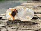Polished Wire Wrap Size Flower Agate Free Forms x 140 From Antsahalova, Madagascar - Toprock Gemstones and Minerals 