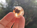 Polished Wire Wrap Size Flower Agate Free Forms x 140 From Antsahalova, Madagascar - Toprock Gemstones and Minerals 